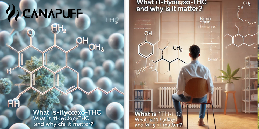 1-Hydroxy-THC Effects & Potency Explained