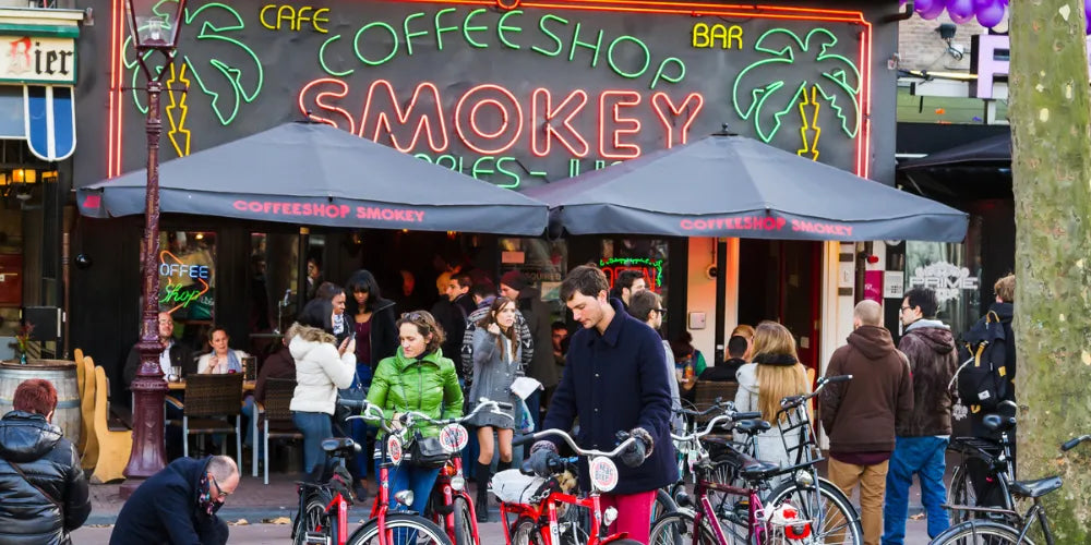 Cele mai bune Coffeeshop-uri din Amsterdam 2024: Locuri de top pentru Cannabis-Canapuff