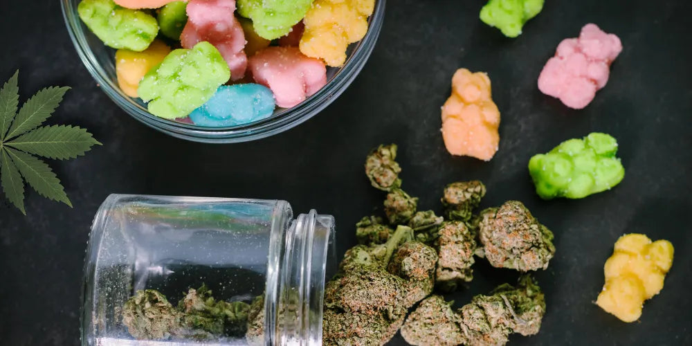 CBD grybai