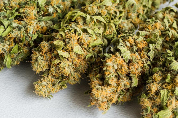 10-OH-HHC: Az új kannabinoid előnyei és biztonsága - Canapuff