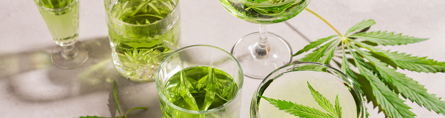 What Should You Know Before Choosing a THC Infused Drink?
