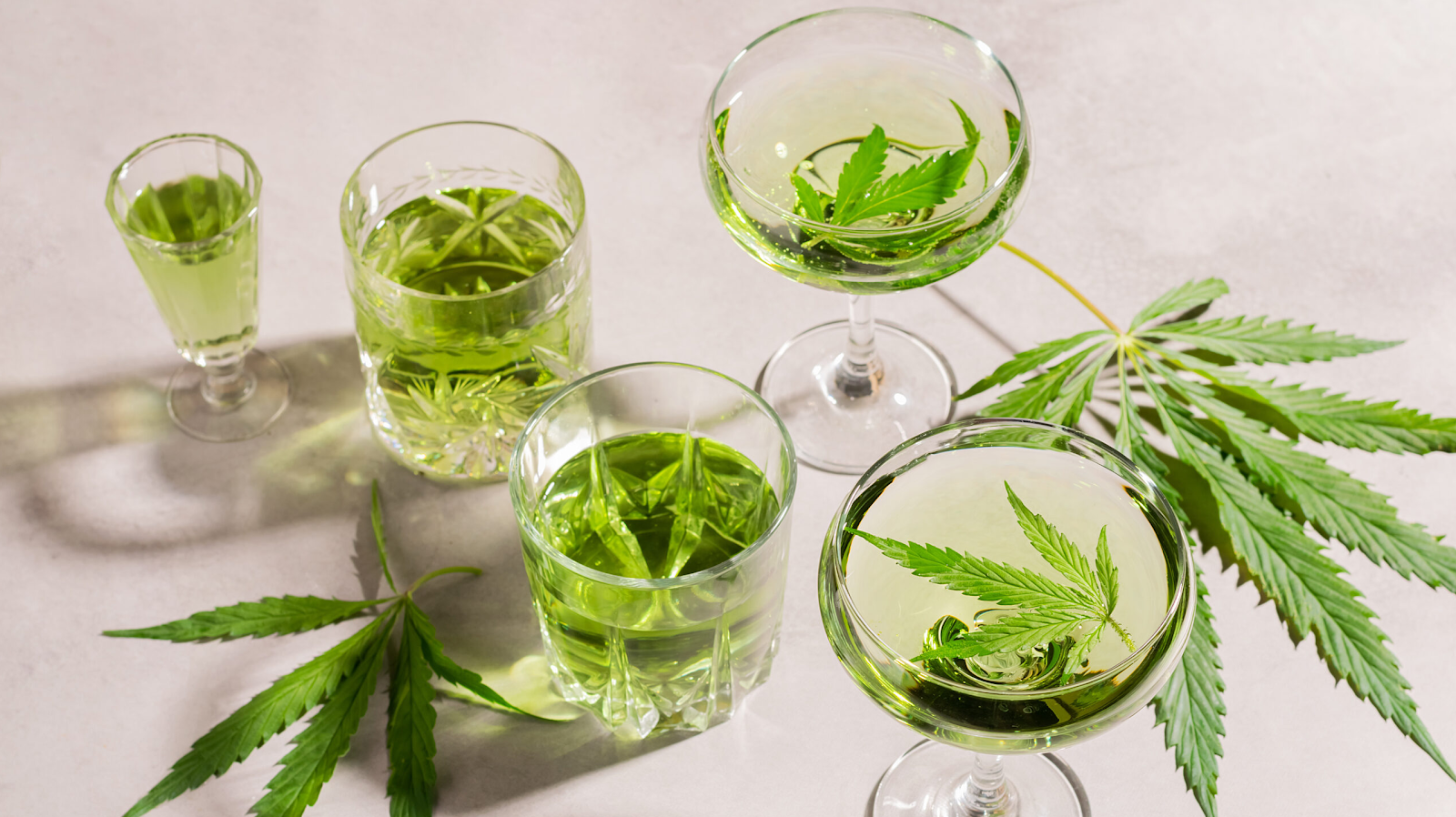 What Should You Know Before Choosing a THC Infused Drink?