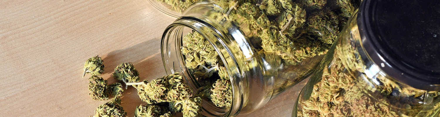 How to Store Cannabis / Cannabinoid Products for Maximum Freshness & Potency