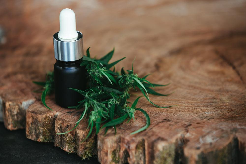 THCA: Fördelar, användning och bästa Cannabis Strains-Canapuff
