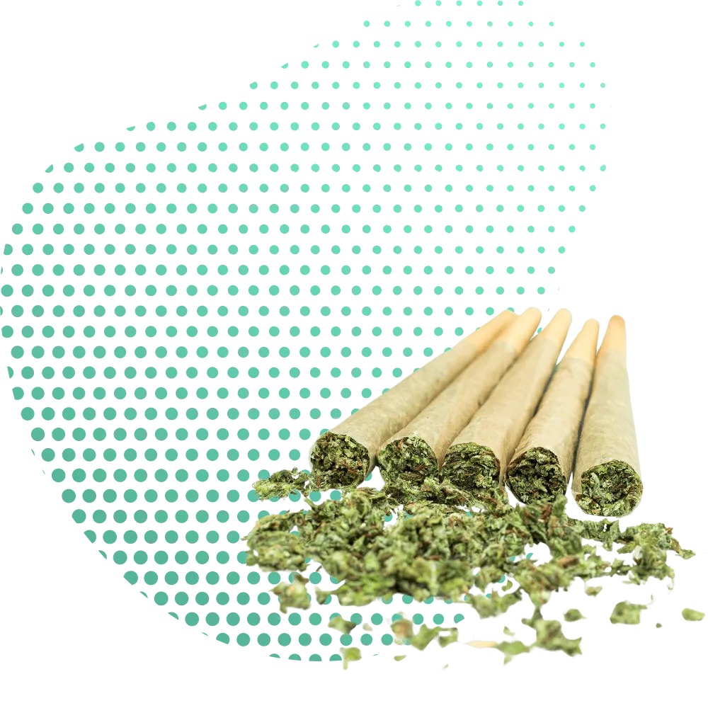 CBG9 джойнтове-Canapuff