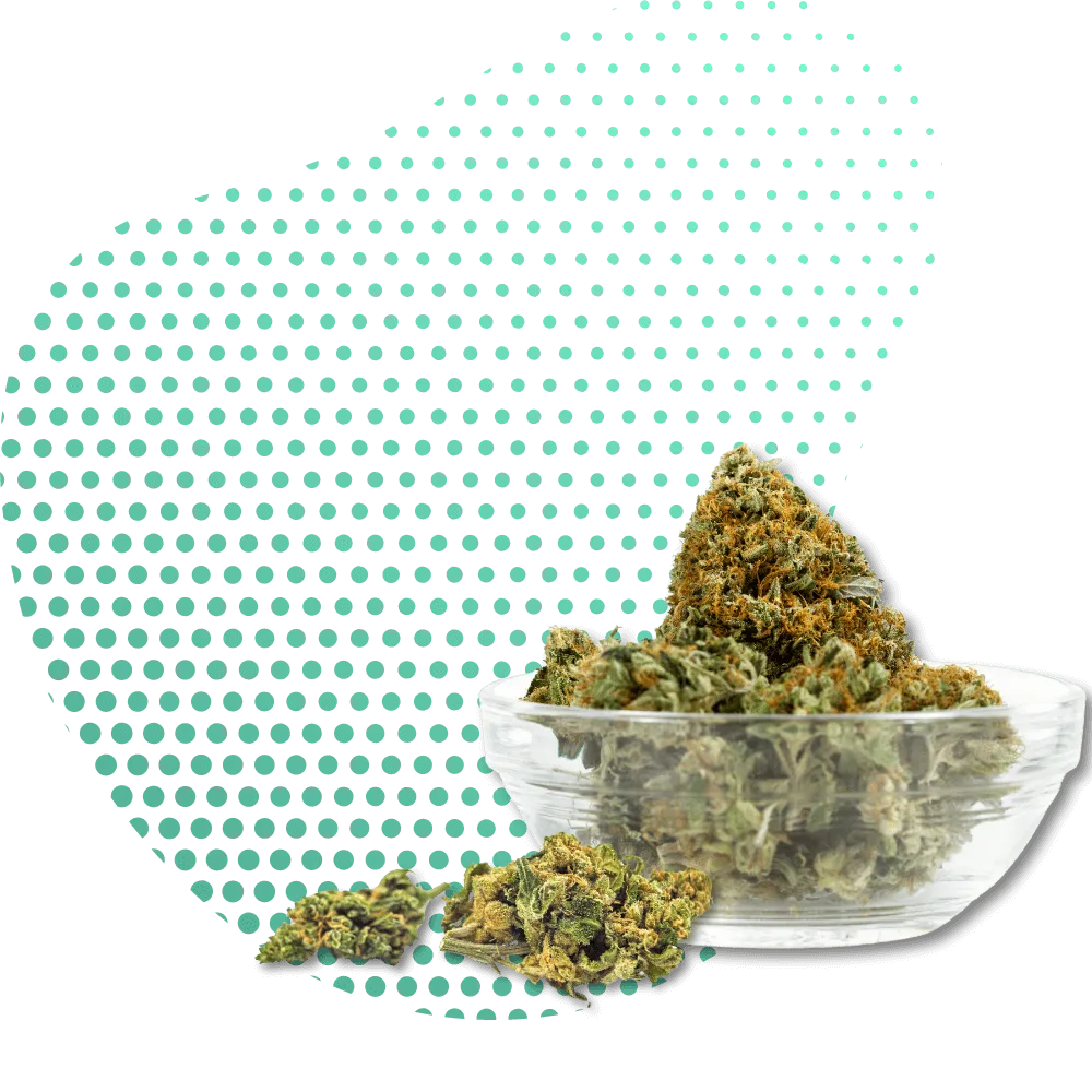 10-OH-HHC цветя-Canapuff