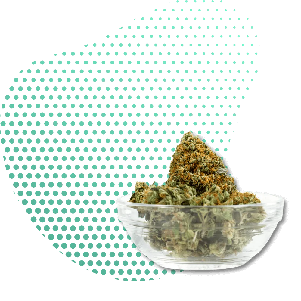 10-OH-THC Canapuff