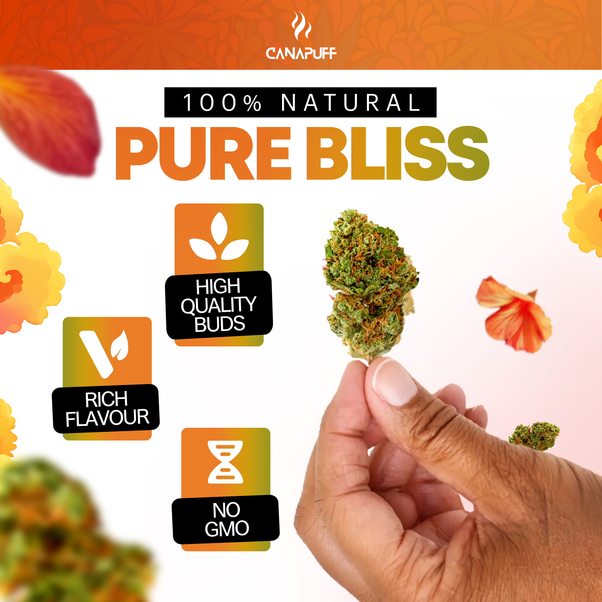 Canapuff - Gelonade 65% - HHC-A Kwiaty-Canapuff