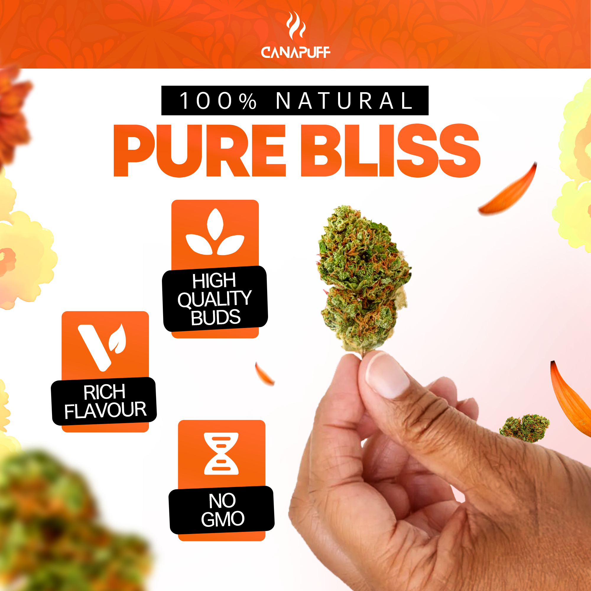 Canapuff - Green Crack 65% - HHC-A Kwiaty-Canapuff