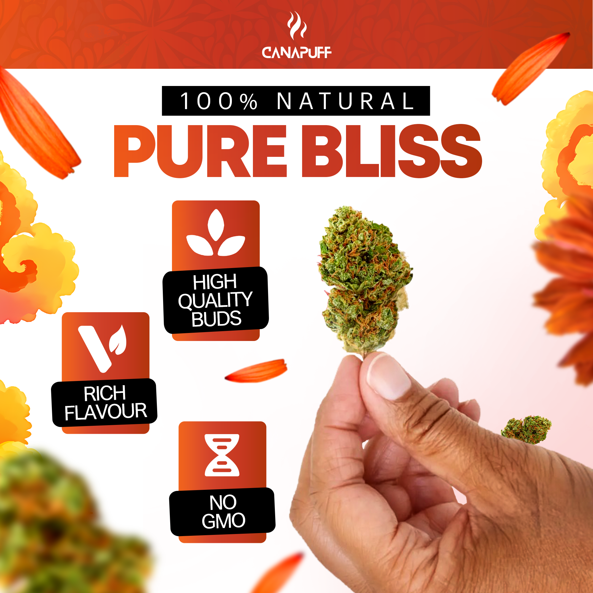 Canapuff - Tangie Dream 65% - HHC-A Topskud-Canapuff