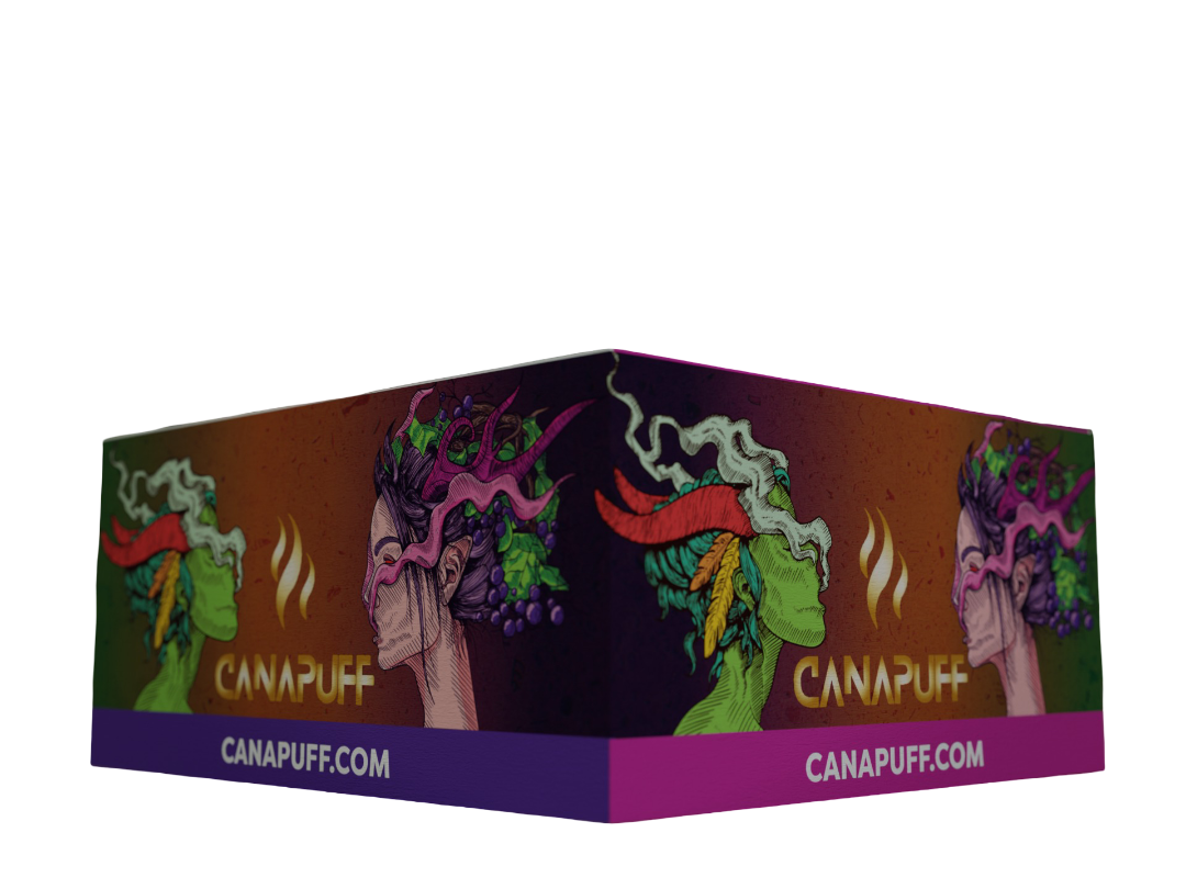 Canapuff Rolling Papers - Maxi Pack KSW with Tips - Amnesia