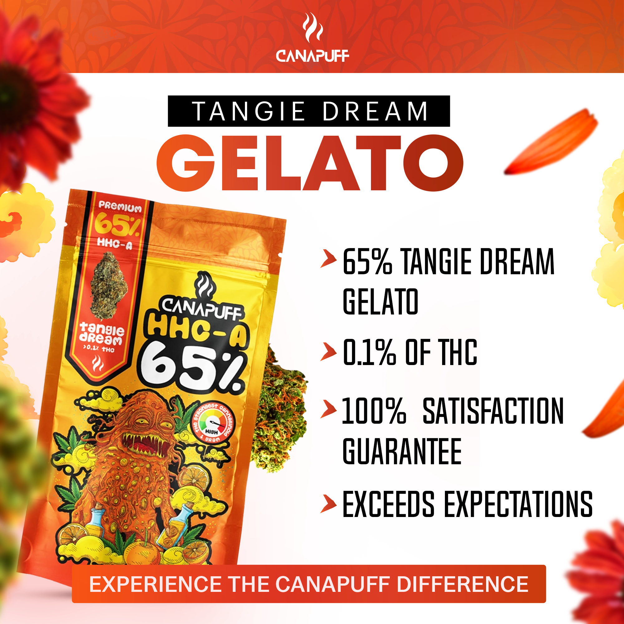 Canapuff - Tangie Dream 65% - HHC-A Topskud-Canapuff