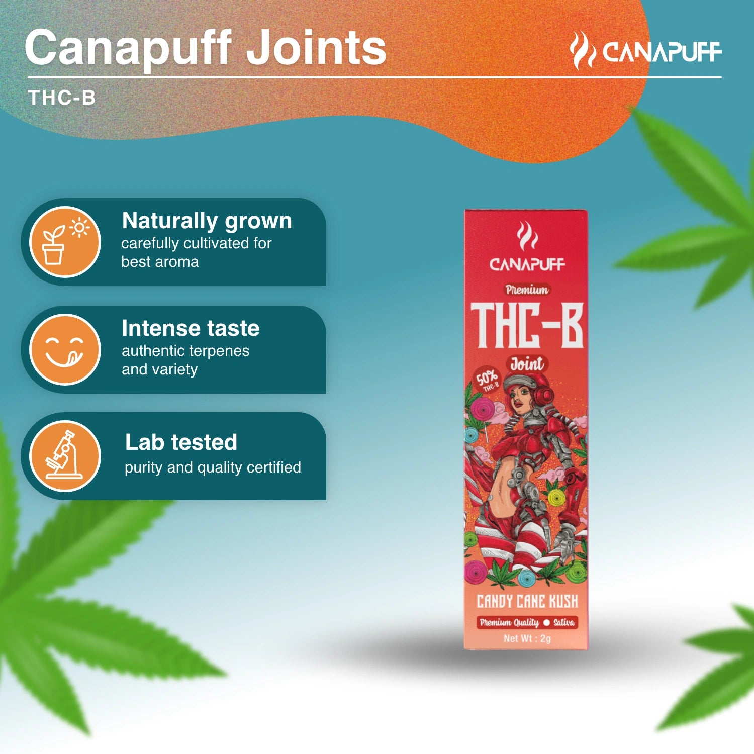 THC-B Joint 50% Candy Cane Kush 2g - Canapuff