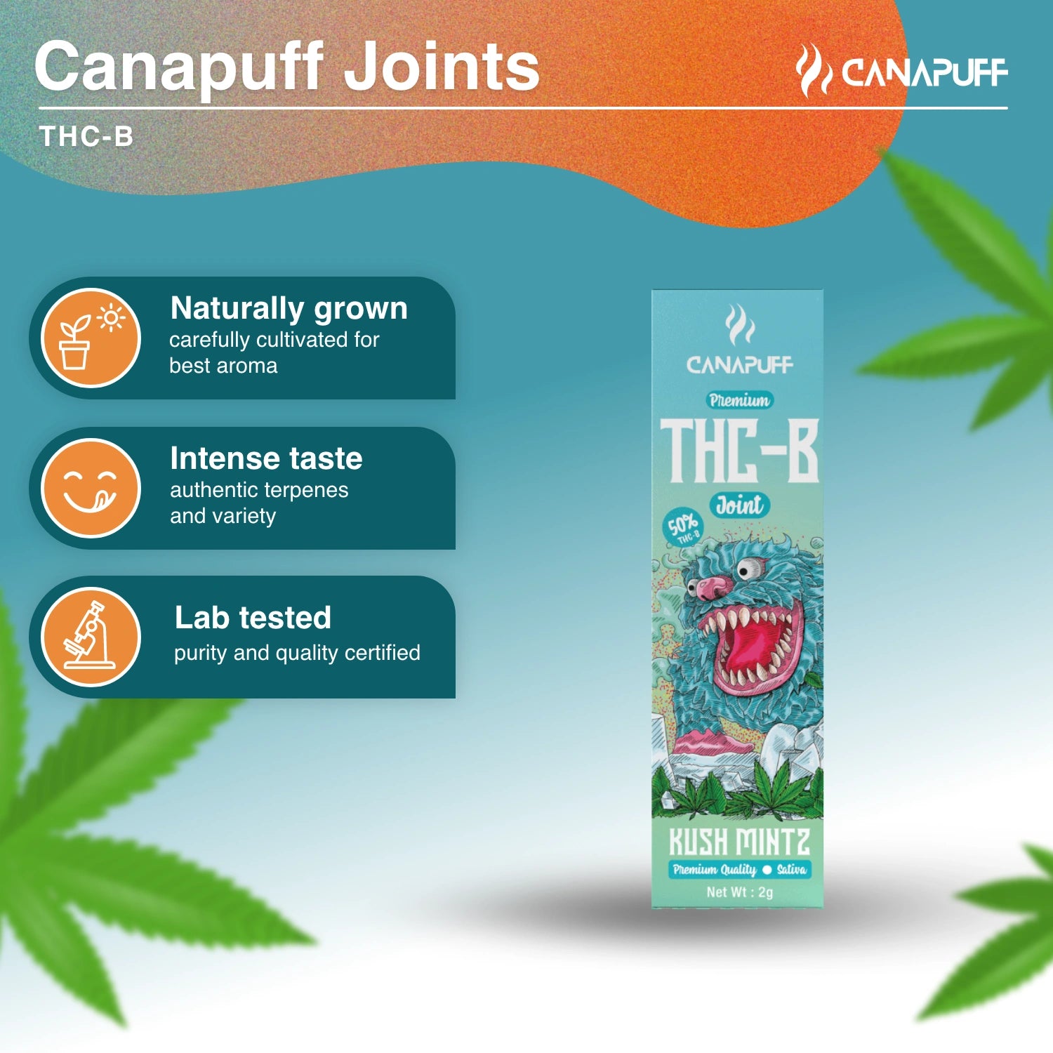 THC-B Joint 50% Kush Mintz 2g - Canapuff