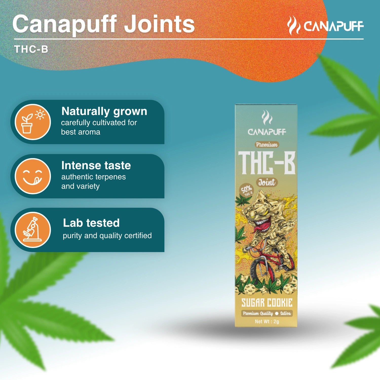 THC-B Joint 50% Sugar Cookie 2g - Canapuff