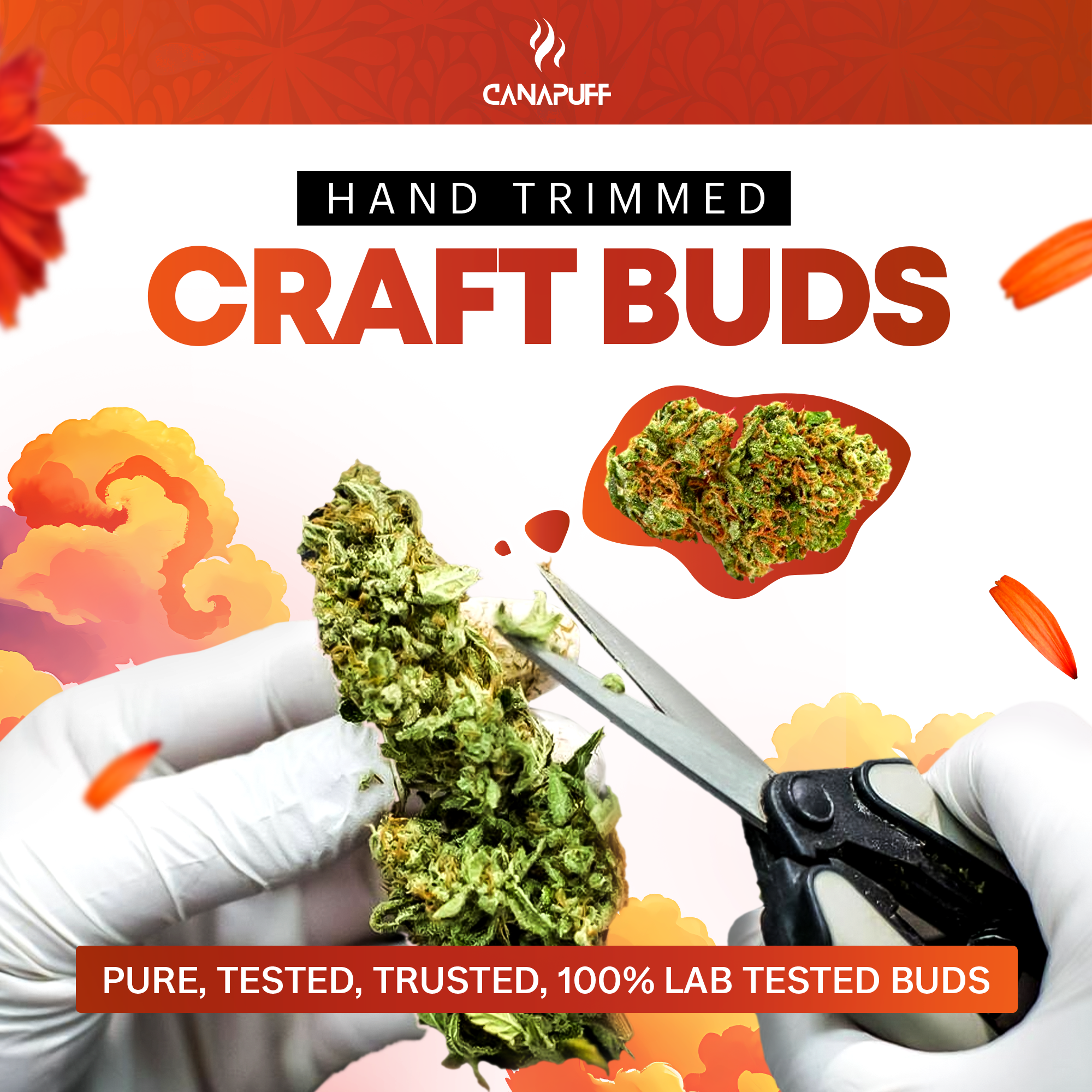 Canapuff - Tangie Dream 65% - HHC-A Topskud-Canapuff