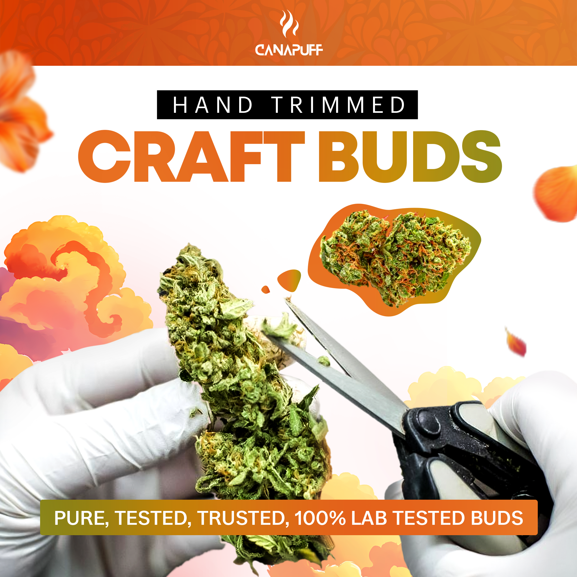 Canapuff - Gelonade 65% - HHC-A Topskud-Canapuff