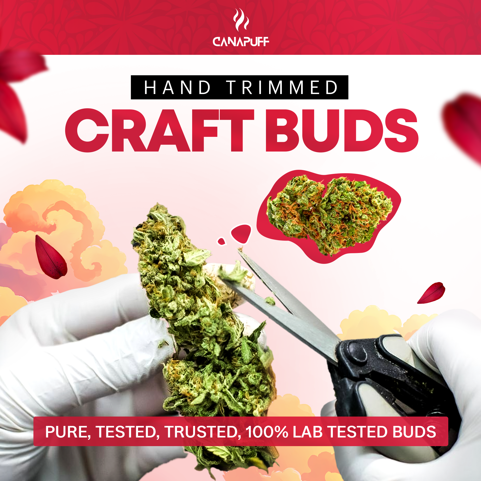 Canapuff - Lemon Cherry Gelato 65% - Fiori HHC-A-Canapuff