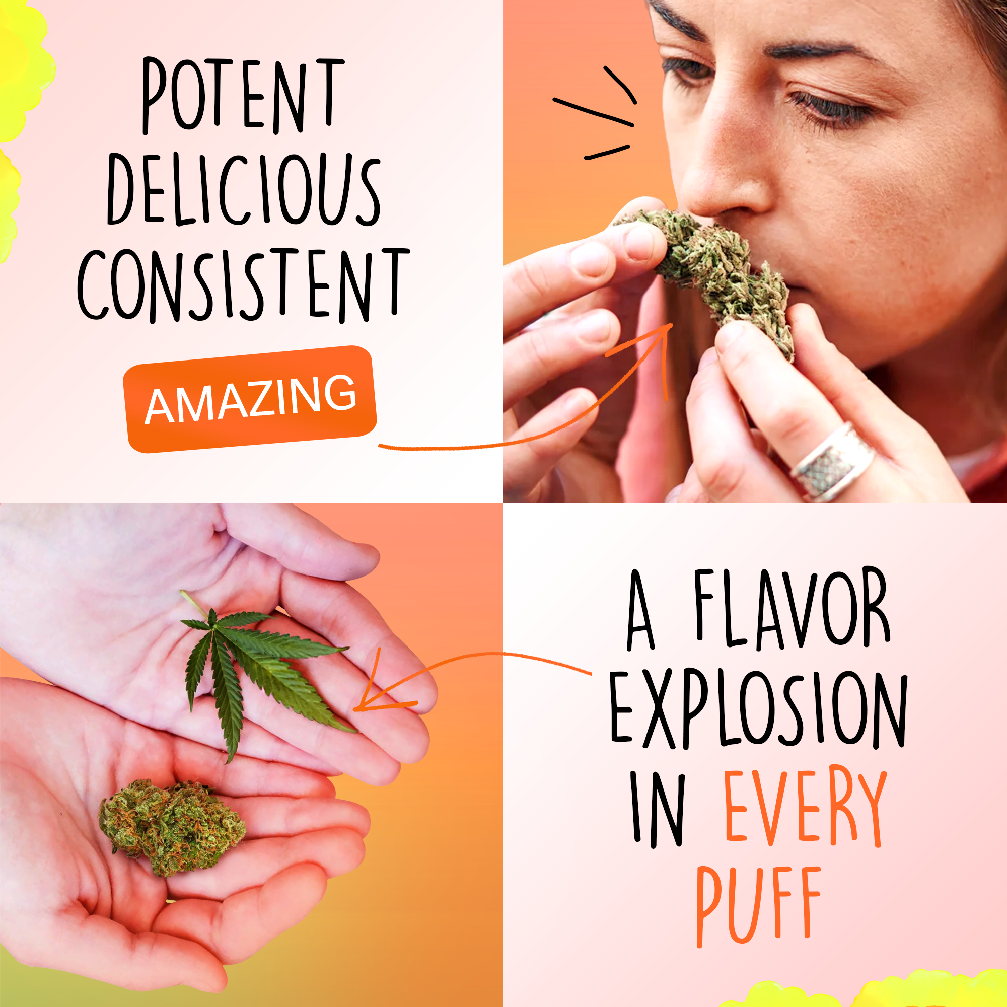 Canapuff - Green Crack 65% - HHC-A Kwiaty-Canapuff