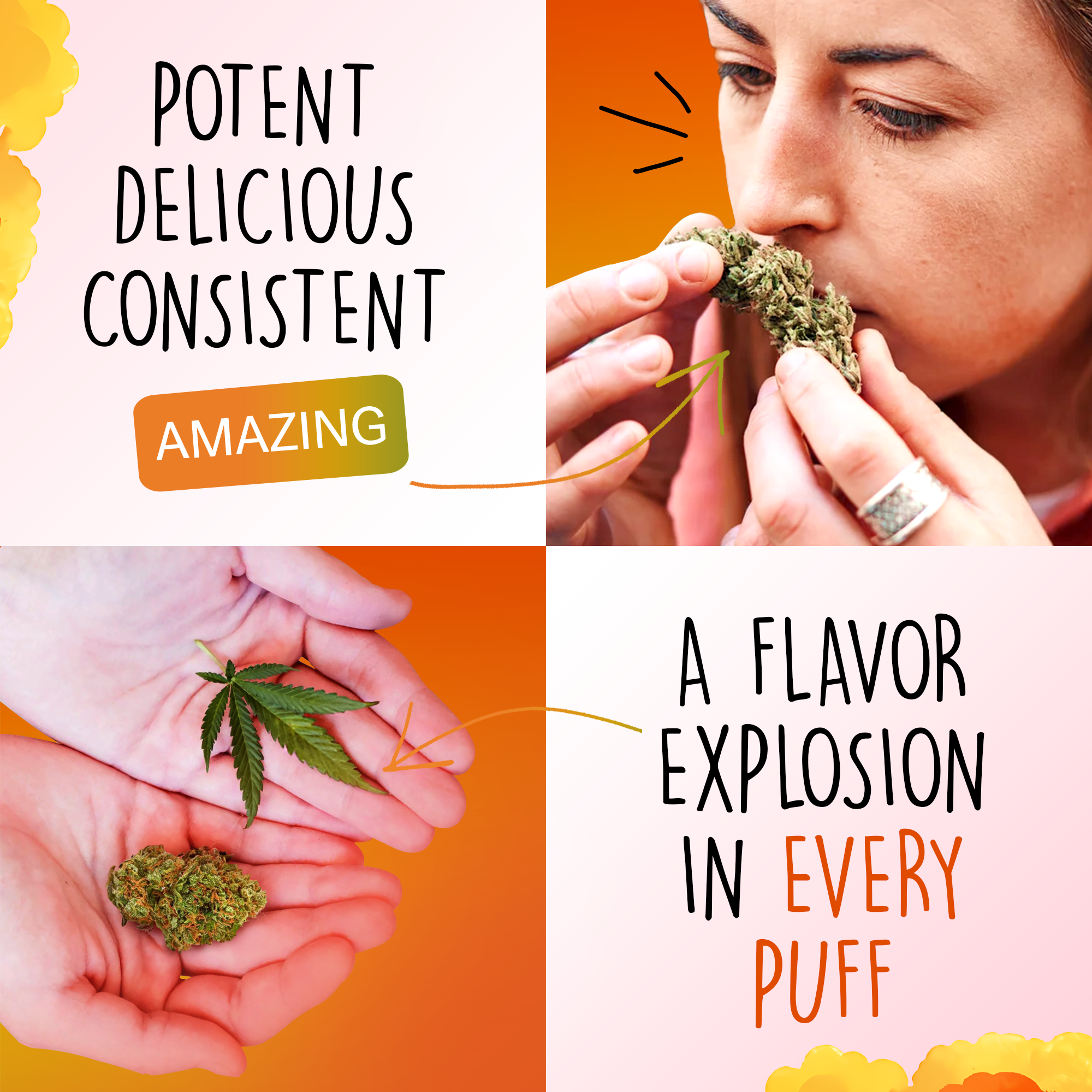 Canapuff - Gelonade 65% - HHC-A Kwiaty-Canapuff