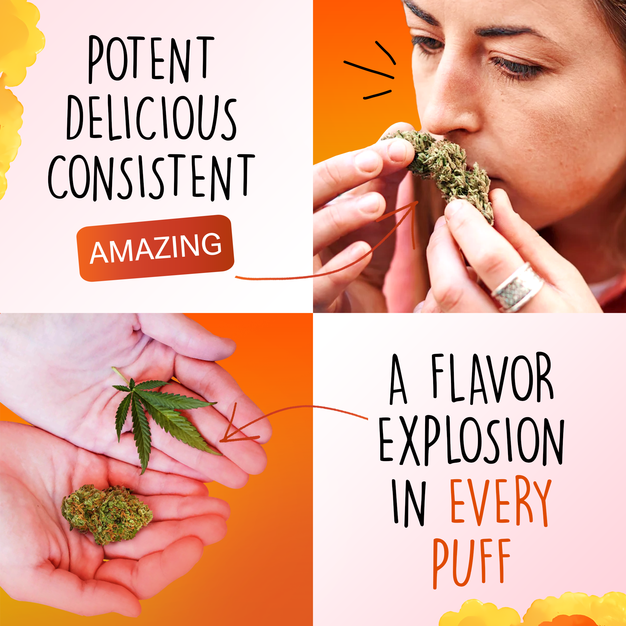 Canapuff - Tangie Dream 65% - HHC-A Topskud-Canapuff