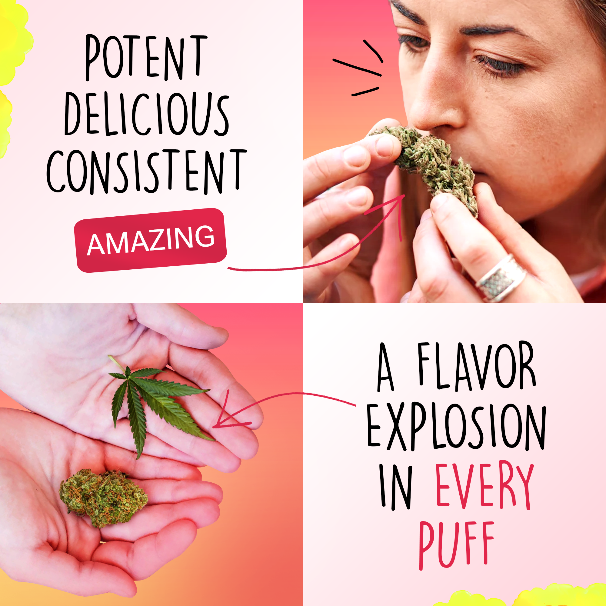 Canapuff - Lemon Cherry Gelato 65% - HHC-A Flowers-Canapuff