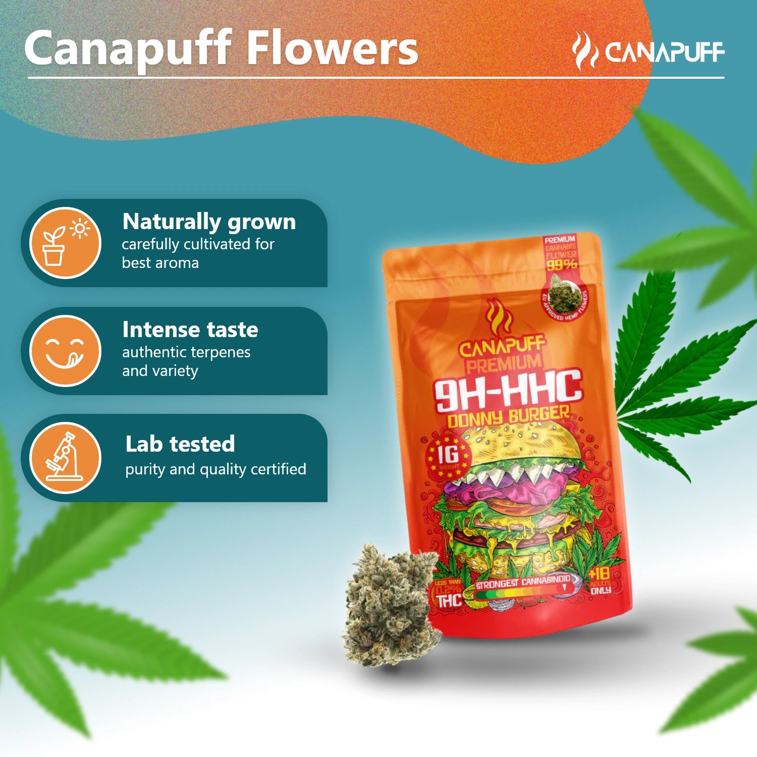 Canapuff - Donny Burger 99% - Fleurs 10-OH-HHC