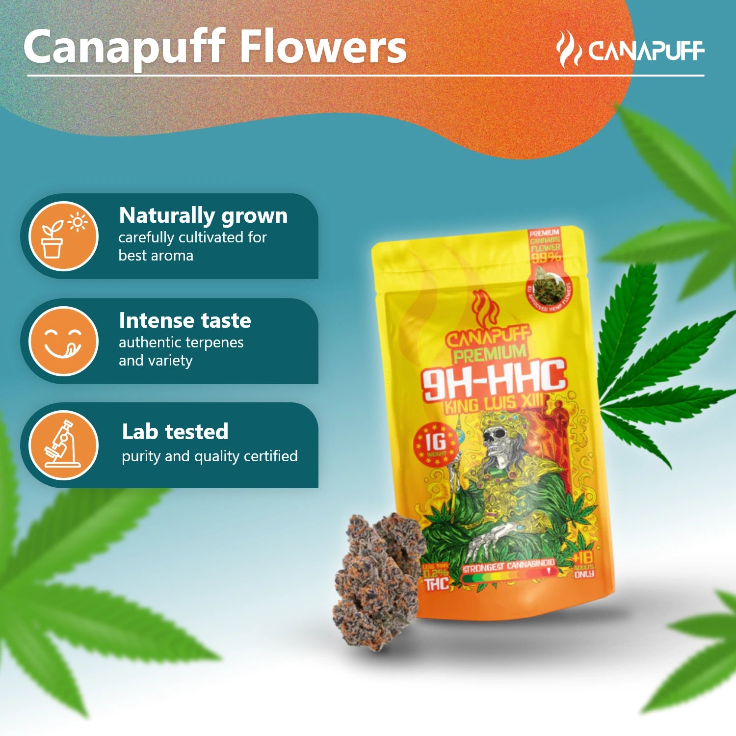 Canapuff - King Luis XIII 99% - Fleurs 10-OH-HHC