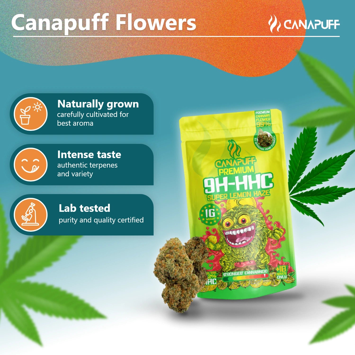 Canapuff - Super Lemon Haze 99% - Fleurs 10-OH-HHC