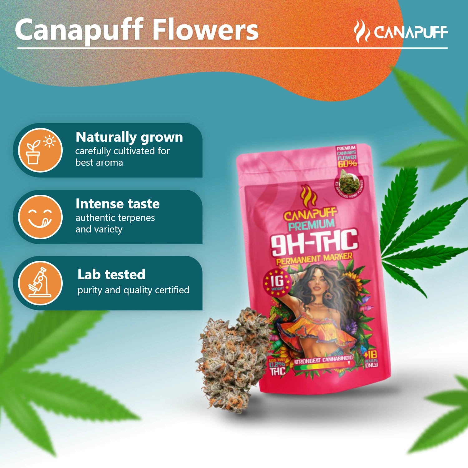 Permanent Marker 60 % - Fleurs 10-OH-THC