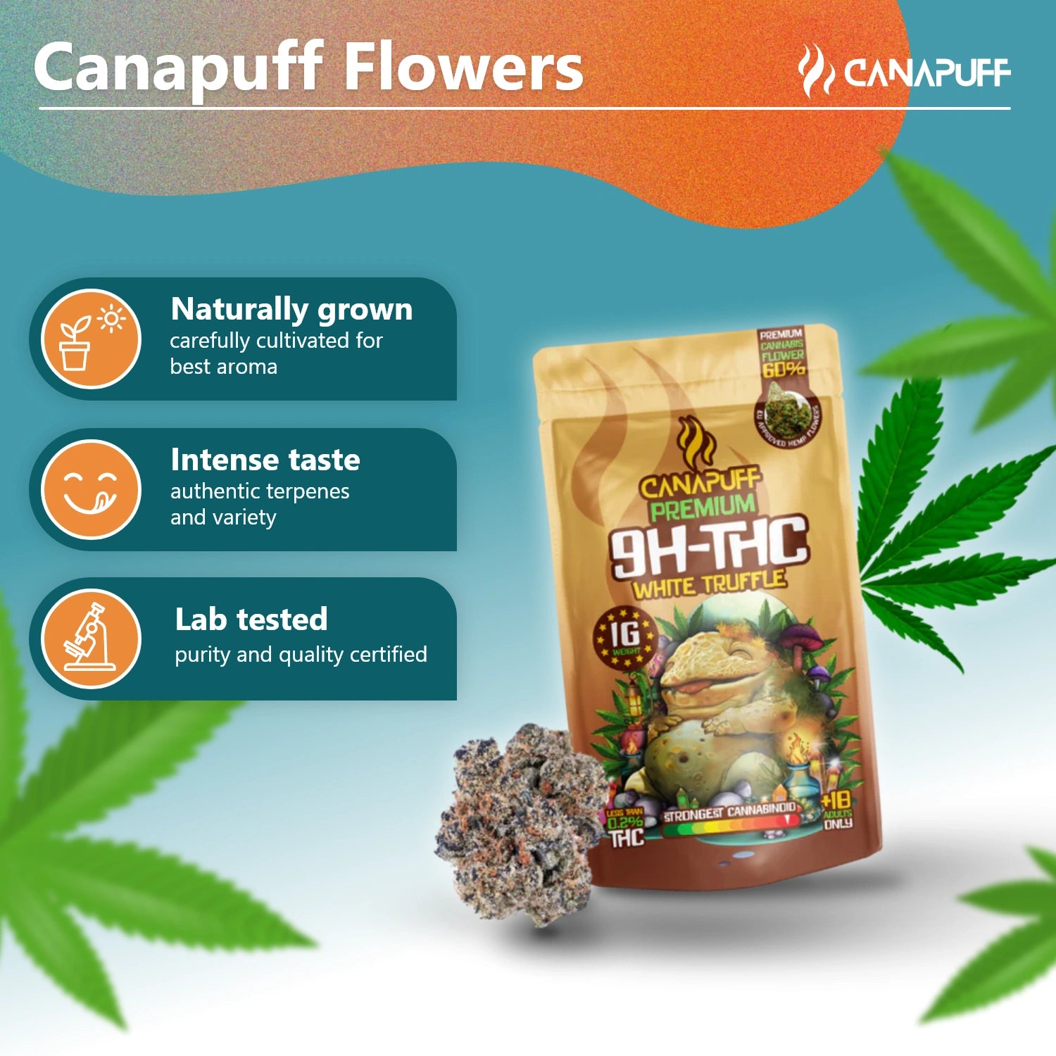 9H-THC Bloemen White Truffle 99%