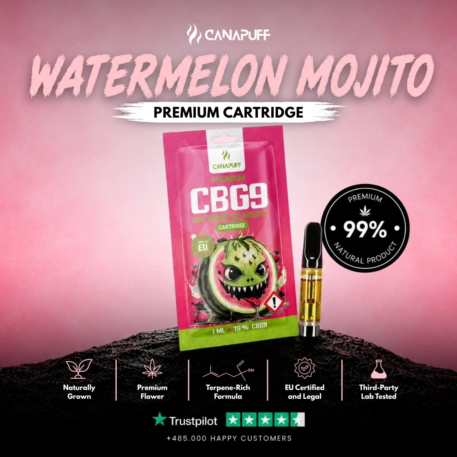 CBG9 Картридж Watermelon Mojito 79%