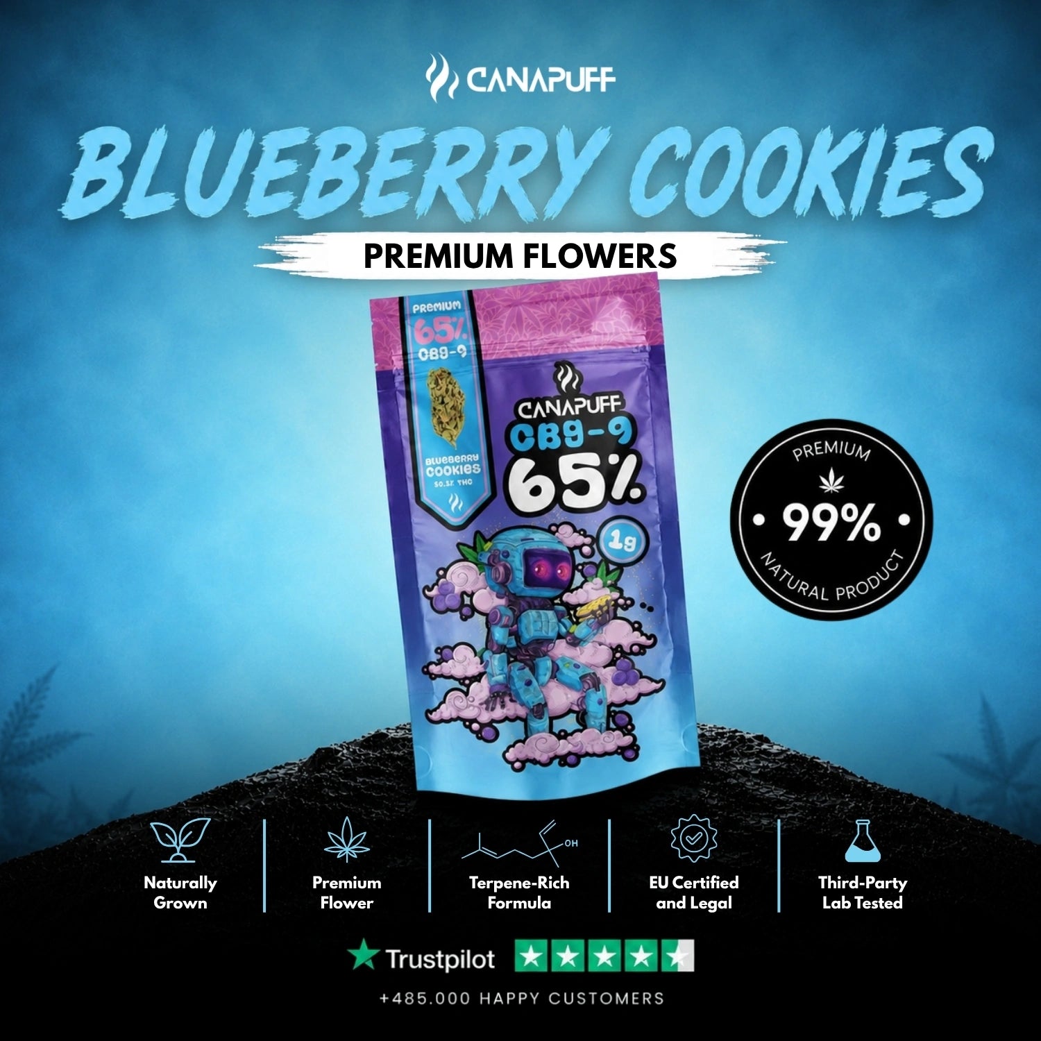 CBG9 Bloemen Blueberry Cookie 65%