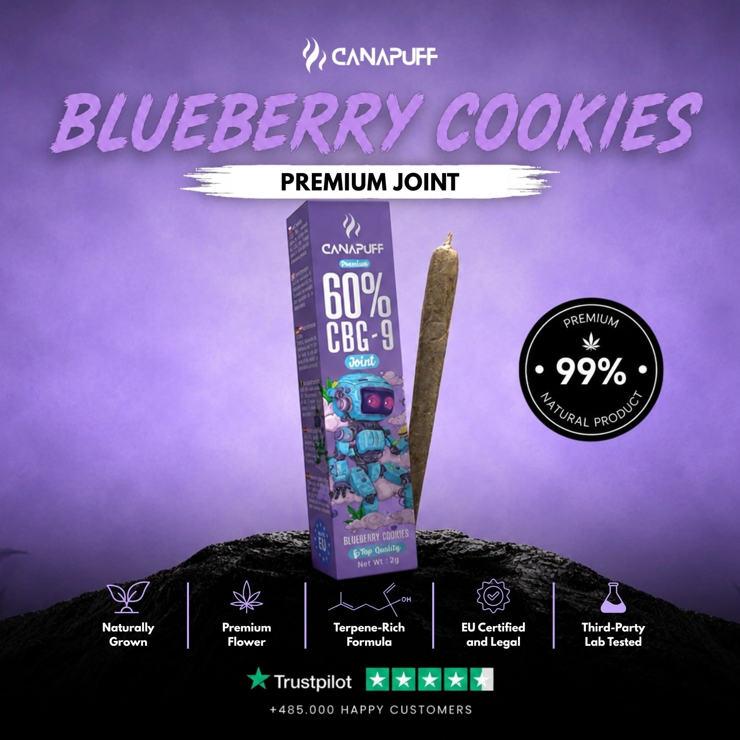 CBG9 Joint Blåbär Cookies 60% 2g