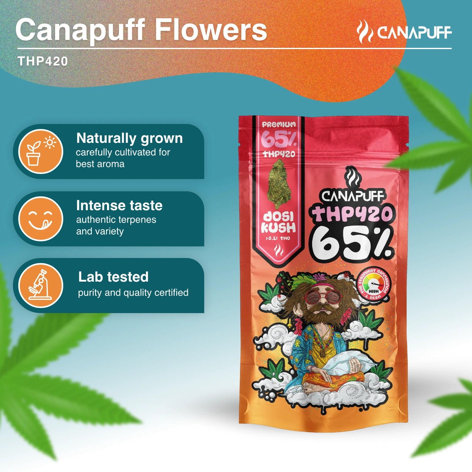 Dosi Kush 65% - THP420 Květy - Canapuff
