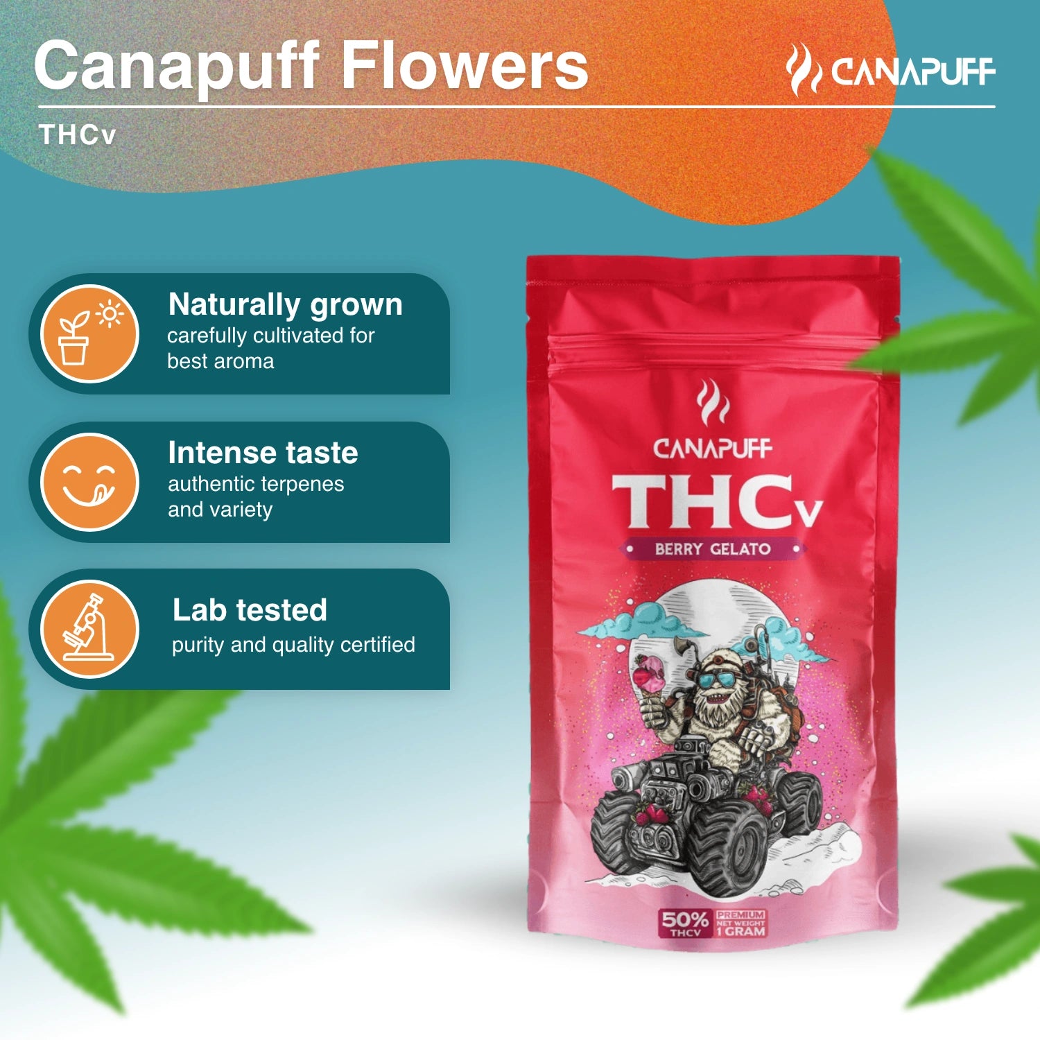 Berry Gelato 50 % - THCv Květy - Canapuff