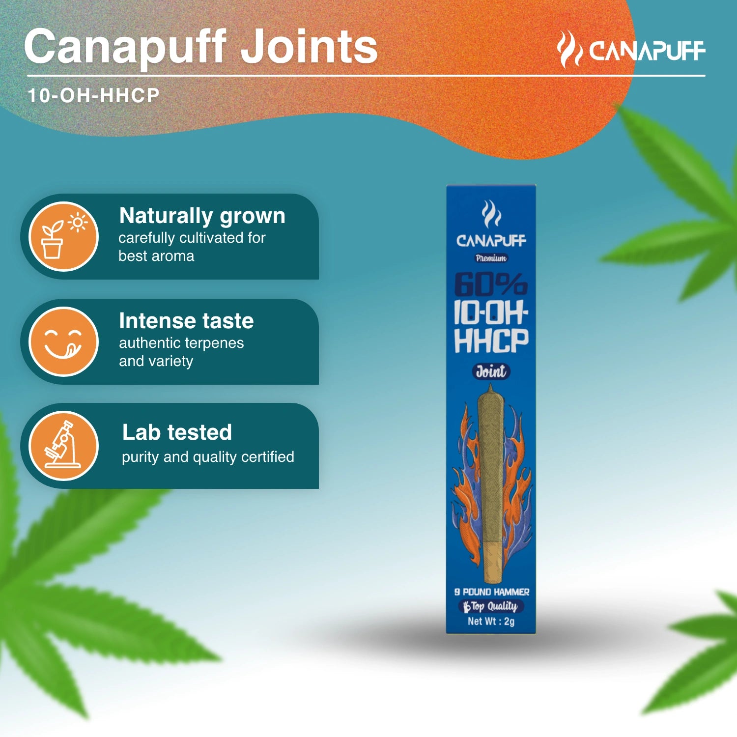 9 Pound Hammer 60% 10-OH-HHCP Joint 2g - Canapuff