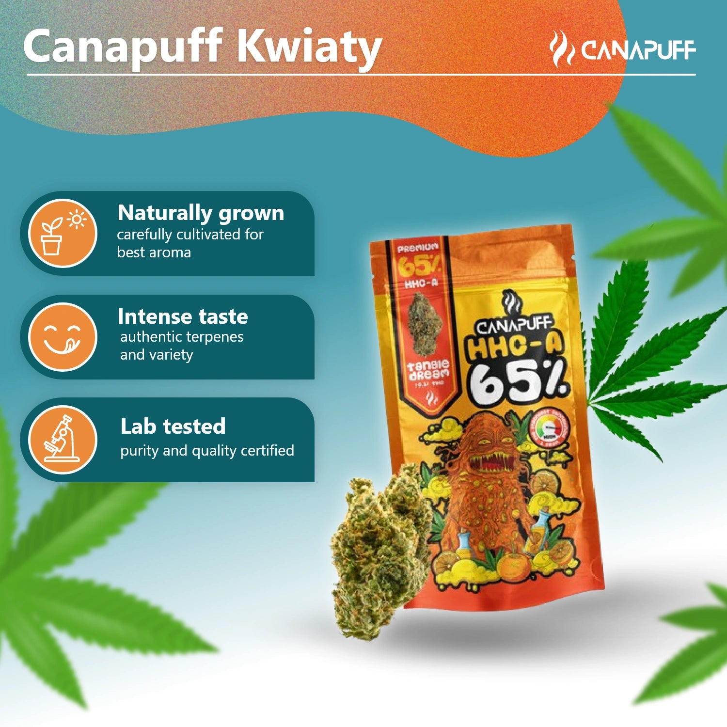 Canapuff - Tangie Dream 65% - HHC-A Blomster