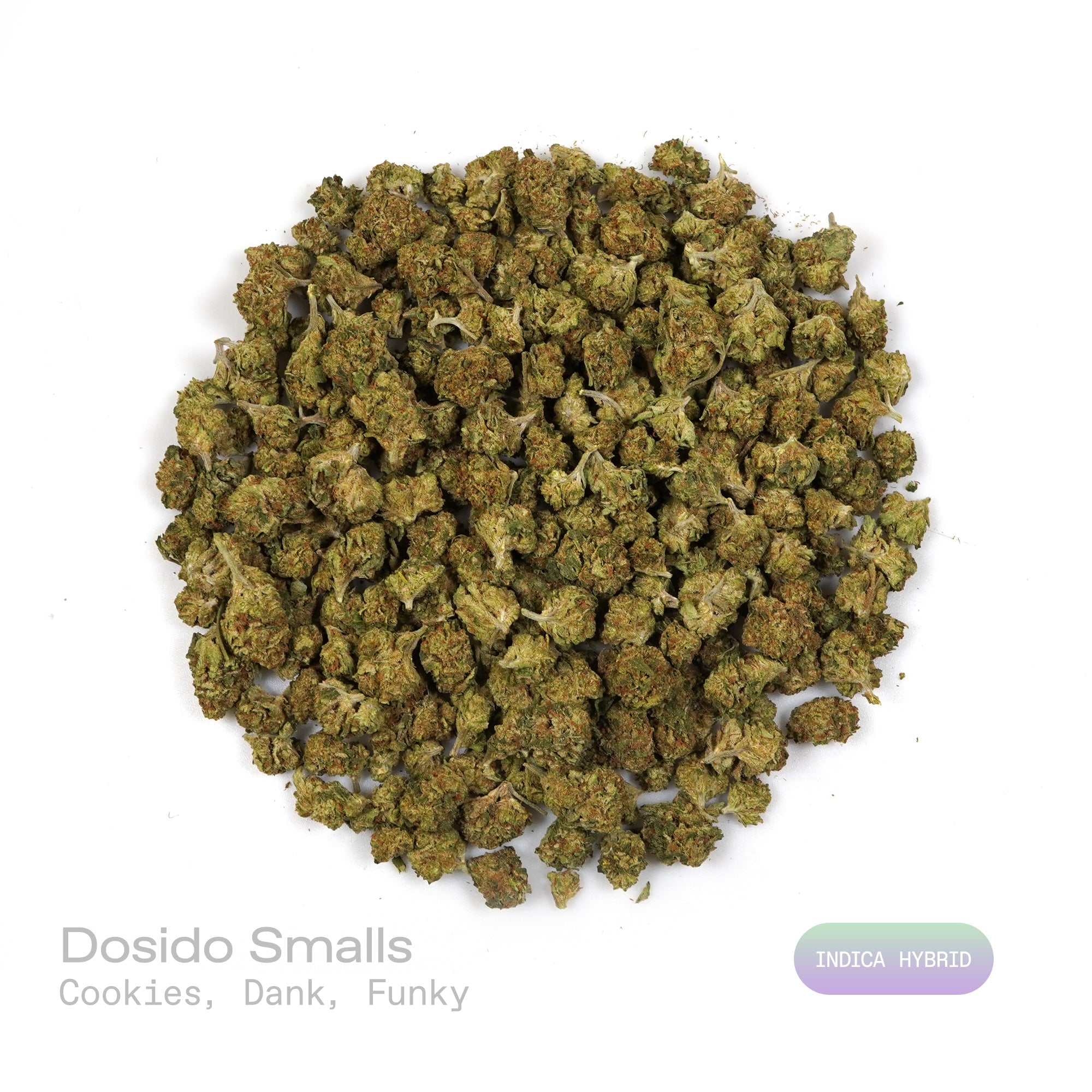 PUFFY Dosido (smalls) is an indica-dominant hybrid THCa strain, born from the legendary cross of Girl Scout Cookies (GSC) × Face Off OG. The aroma is a rich blend of sweet, baked cookie notes, layered with dank and funky undertones that create a deeply enticing and complex scent. Visually striking, with dense medium buds in deep green and purple tones, accented by bright orange pistils and a frosty coat of milky-white trichomes. Consumers often report a calming body high with uplifting mental clarity, makin