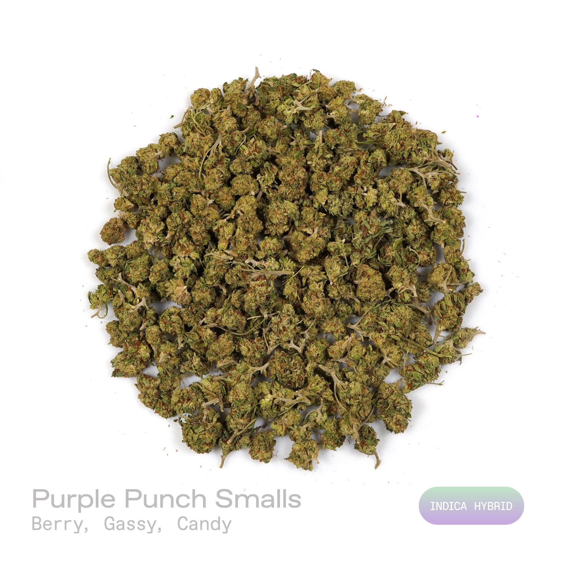 PUFFY Purple Punch (smalls) is a popular indica-dominant hybrid THCa strain, born from the legendary pairing of Granddaddy Purple and Larry OG. The aroma bursts with sweet berry notes, layered with a gassy undertone and a playful hint of candy, creating a lively and inviting scent experience. Visually, the buds are thick and tightly packed, with a lush green backdrop streaked by vivid purples and violets, intertwined with fiery orange pistils and finished with a shimmering coat of crystalline trichomes. Con