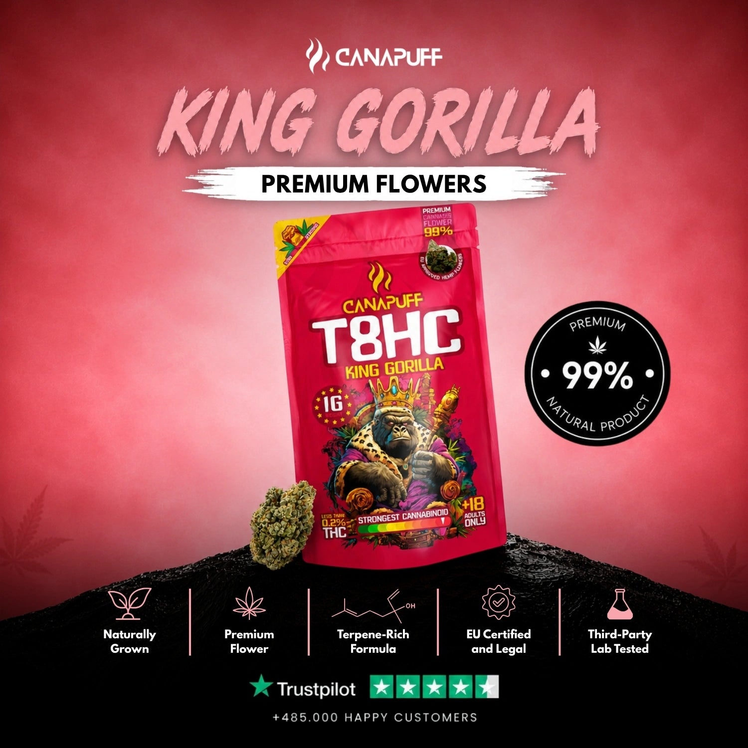 King Gorilla T8HC Cvjetovi 99%