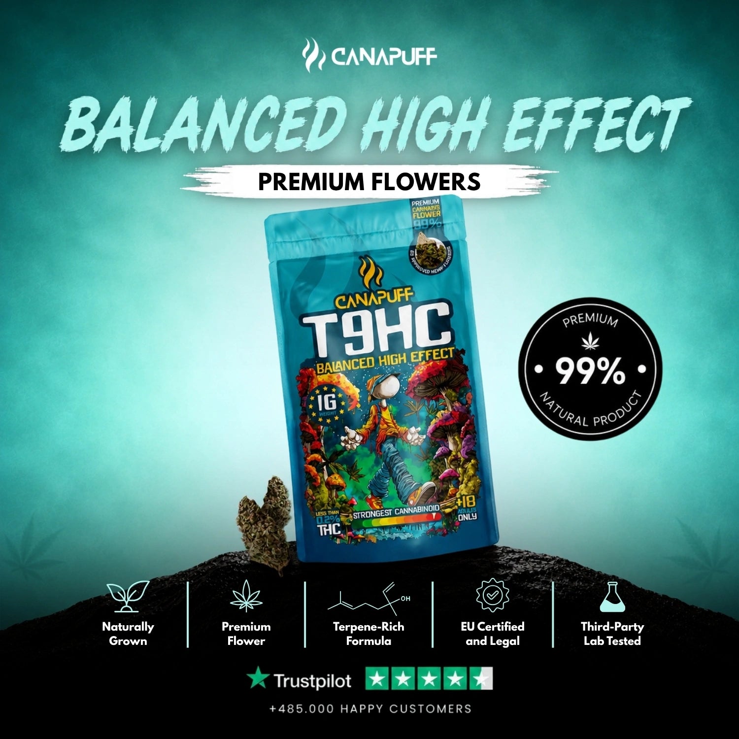 T9HC Λουλούδια Balanced 99%