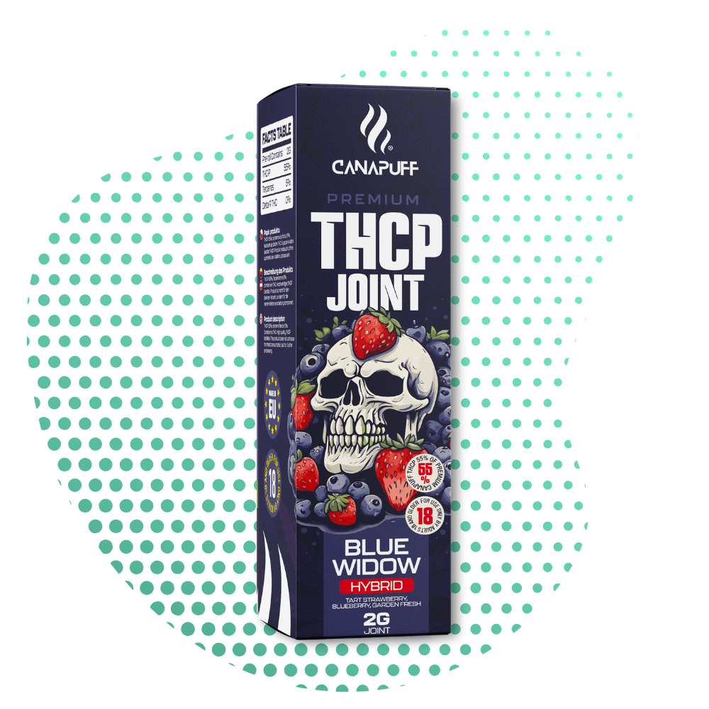 thcp suktinė 55 blue widow 2g