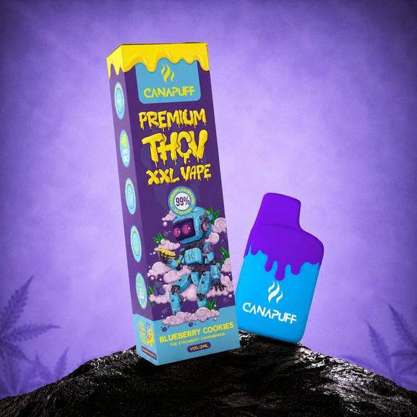 Canapuff THCv XXL Vape Blueberry Cookies 99% 2ml disposable pen with packaging box