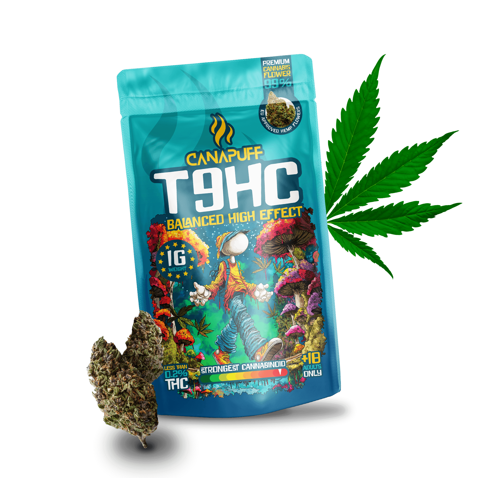 T9HC Virágzat Balanced 99%