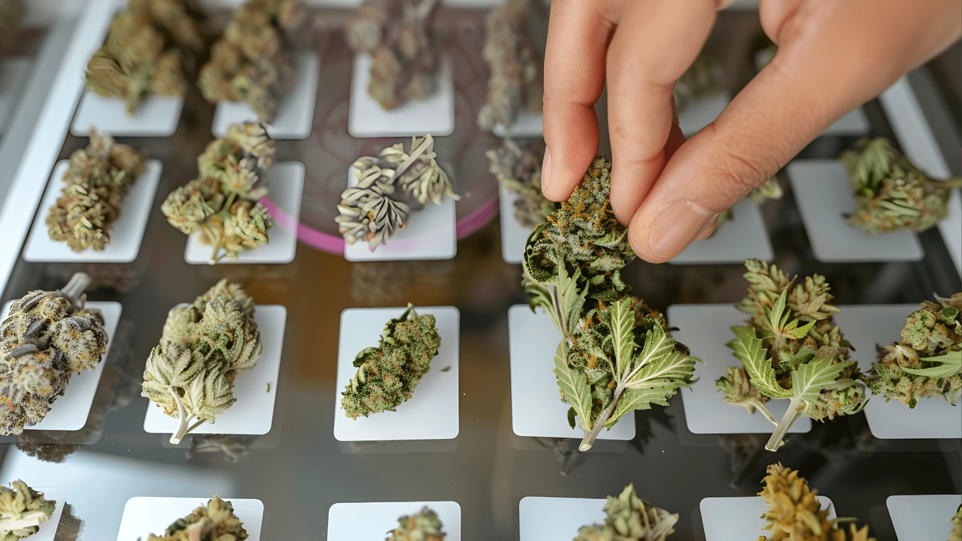 Koop Cannabis in Hamburg