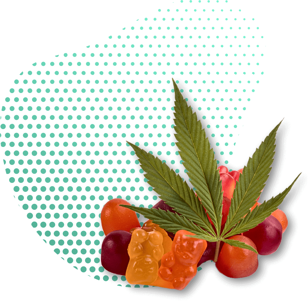 jeleuri 10-OH-HHCP premium Canapuff