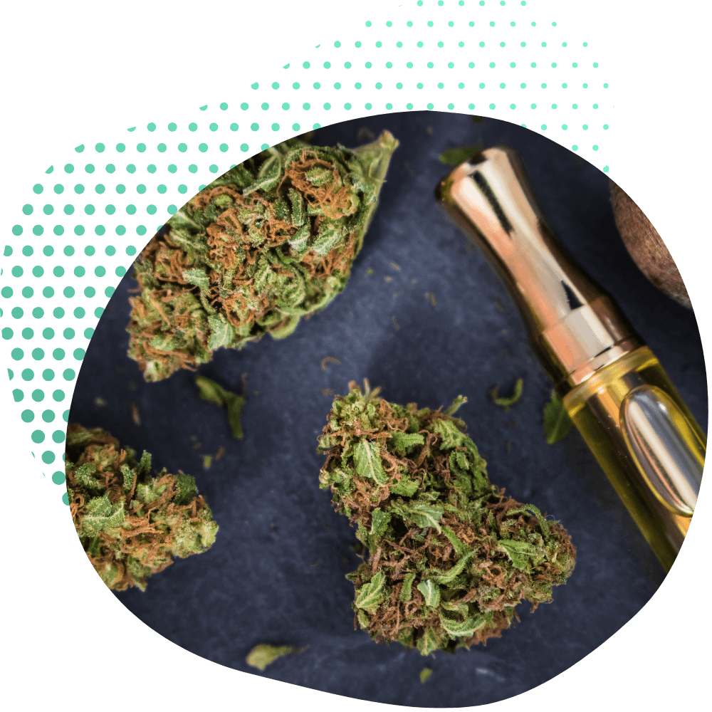 H4CBD Kwiaty