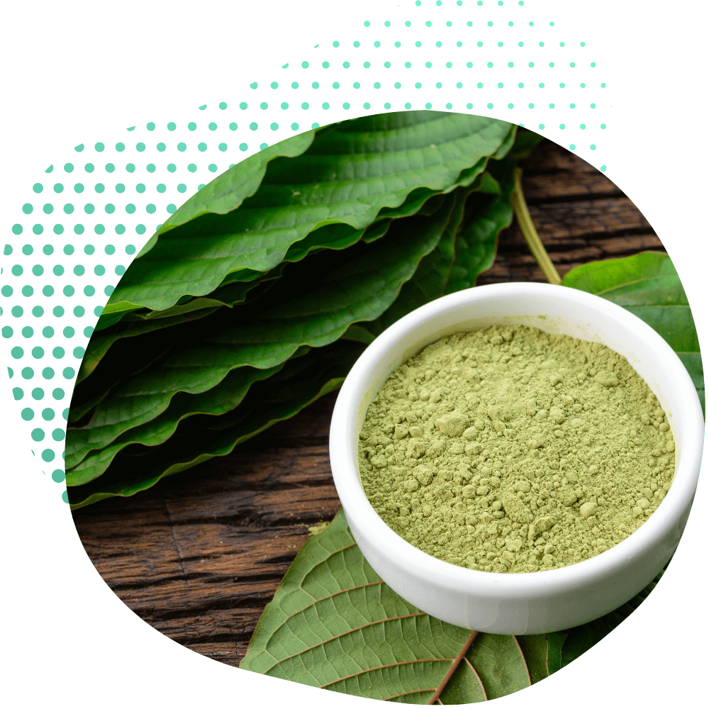 Korzyści z proszku Kratom
