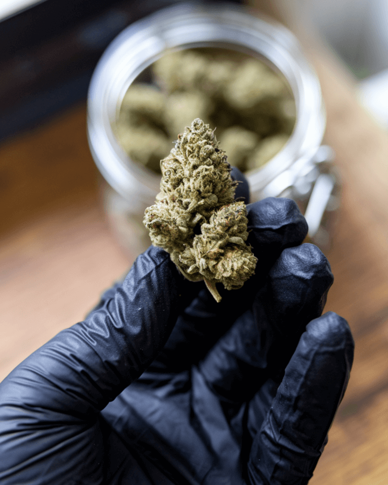 Le Cannabis est-il légal en Allemagne ?